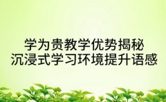 学为贵教学优势揭秘 沉浸式学