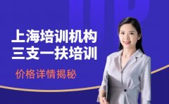 上海三支一扶培训班 不同机构